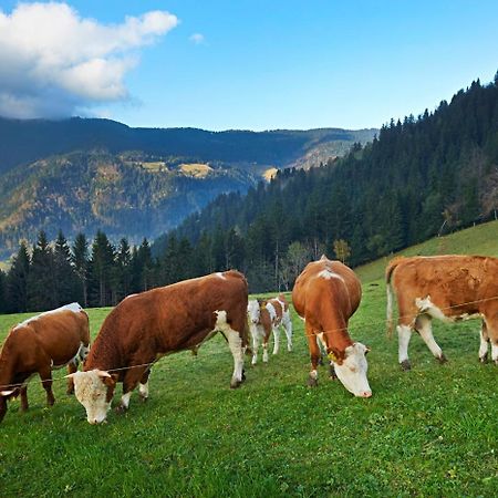 류브노 Tourist Farm Kladje 빌라 외부 사진