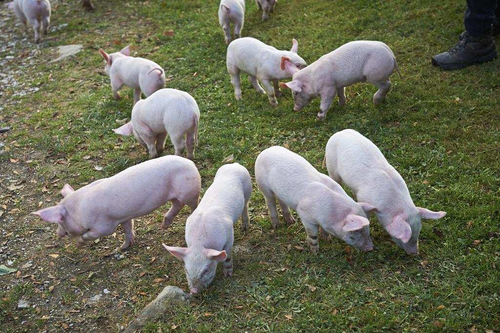 류브노 Tourist Farm Kladje 빌라 외부 사진